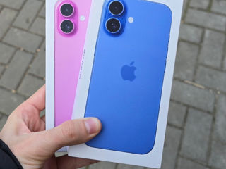 iPhone 16, Pink / Ultramarine