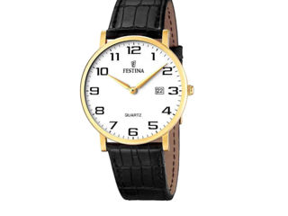 Ceas Festina Classic F16478/1