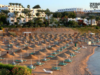 Egipt, Sharm El Sheikh - Domina Coral Bay King's Lake 5* foto 4