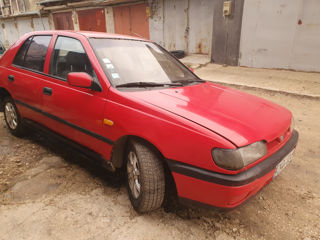 Nissan Sunny