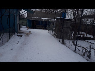 Дом foto 3