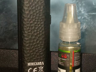 Minican 4 + lichid cloud