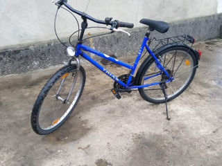 Biciclete foto 4