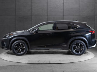 Lexus NX Series foto 4