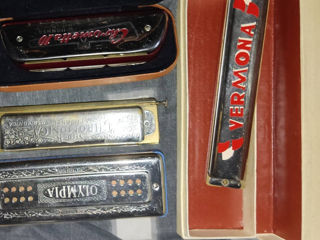 muzicata, губные гармошки. Blockflout and hohner melodika germany. r