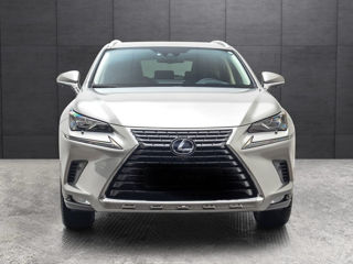 Lexus NX Series