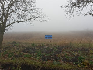 Teren de Vînzare, Stăuceni. Prima linie la traseu foto 5