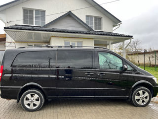 Mercedes Viano foto 4