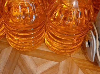 Se vinde ulei presat la rece 1tonă.Macuc. foto 1