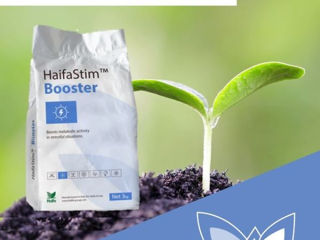 Haifa Stim Booster / Haifa Chemicals Ltd. foto 2