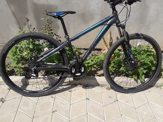 Axess sandee mtb 2021 sale