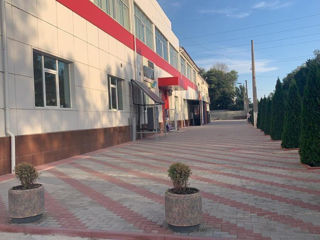 Arenda ! Spatiu comercial ! Magazin -salon 360m2.Prima linie,iesire la strada. Depozit 240m2 foto 3