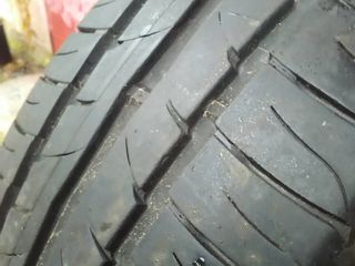 Sava  195/65 R15 foto 2