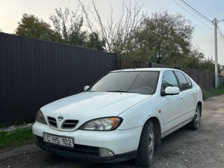 Nissan Primera foto 4