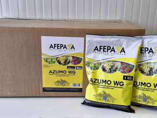 Azumo WG / Sulf 800 g/kg / Afepasa foto 2