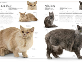 The Cat Encyclopedia: The Definitive Visual Guide (DK Pet Encyclopedias) foto 5