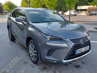 Lexus NX Series foto 6