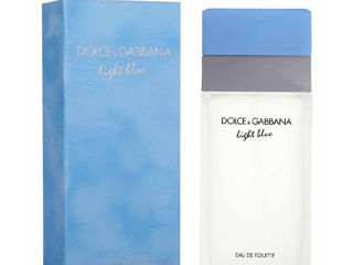 Dolce Gabbana Light Blue foto 2