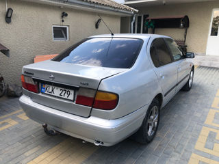 Nissan Primera foto 9