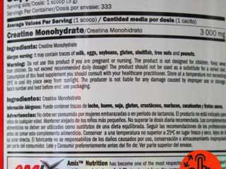 Amix Creatine Monohydrate 1 kg. foto 2