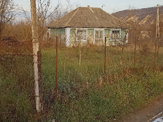 Продается старенький дом в селе Наславча, на берегу Днестра.14соток земли отличное место для дачи foto 3