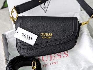 Gentuta Guess