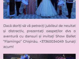 Dansatori la nunti Top in Md. flamingo-show.md foto 5