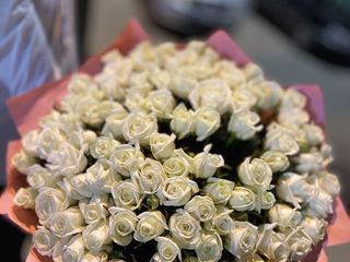 101 trandafiri albi doar 999  lei foto 4