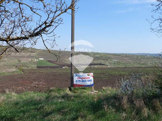 Teren agricol spre vînzare in rn.Ialoveni sat Nimoreni cu Suprafata de 55 ari!! foto 3