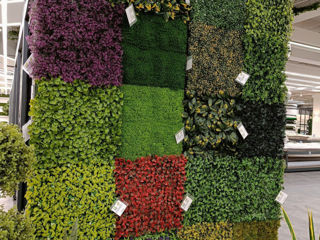 Plante decorative artificiale / Perete din plante artificiale foto 0