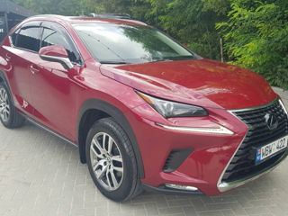 Lexus NX Series