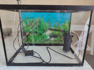 Продам аквариум 30 л со светом и фильтром. foto 1