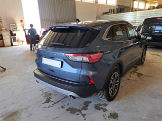 Ford Kuga фото 1