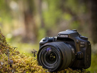 Canon 90D stare ideala 10-10. фото 1