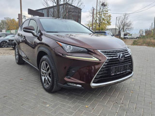 Lexus NX Series