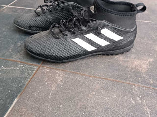 Bampuri Adidas