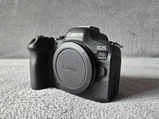 Canon R6 Mark 2 foto 1