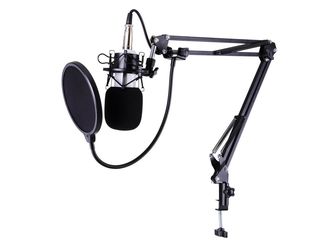 Pro Condenser Microphone w/ Shock Mount Arm Stand Pop Filter For Recording Studio Stage foto 1