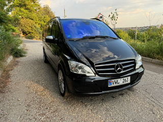 Mercedes Viano foto 2