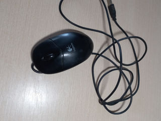 Mouse Logitech  + Tastatură
