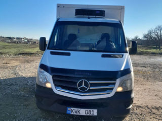 Mercedes Sprinter 313CDI