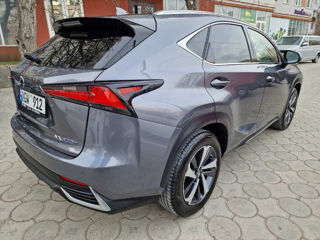 Lexus NX Series foto 4