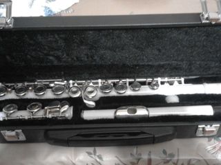 Флейта "ТS" - 150 Евро