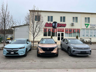 Byd Tang фото 6