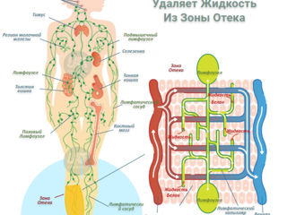 Почувствуй свободу движений  3 часа !!!  общего комбинированного массажа foto 5