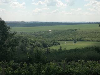 Teren Unic, Ciocana! Lingă Padure! foto 1