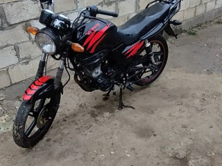 Viper zs 150cc