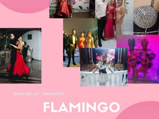 Show de lumini din USA. Профессиональный свет на свадьбу! Flamingo foto 7