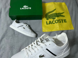 Lacoste