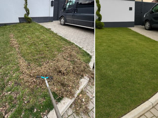 Servicii grădinărit / Irigare / Plantare foto 3
